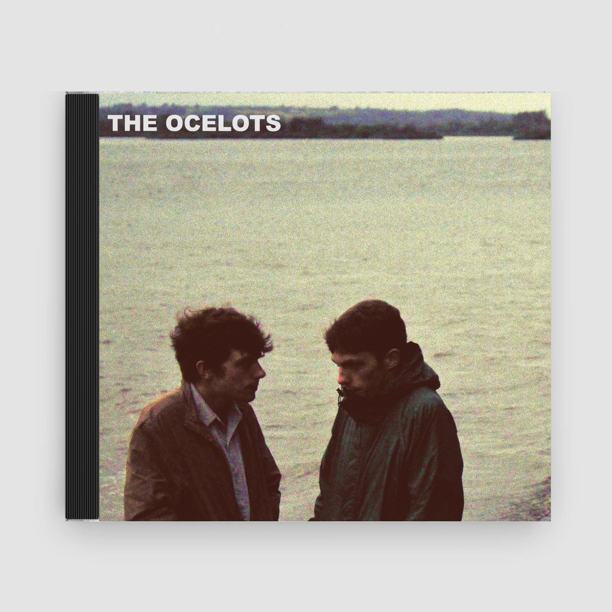 The Ocelots : Till We Get There