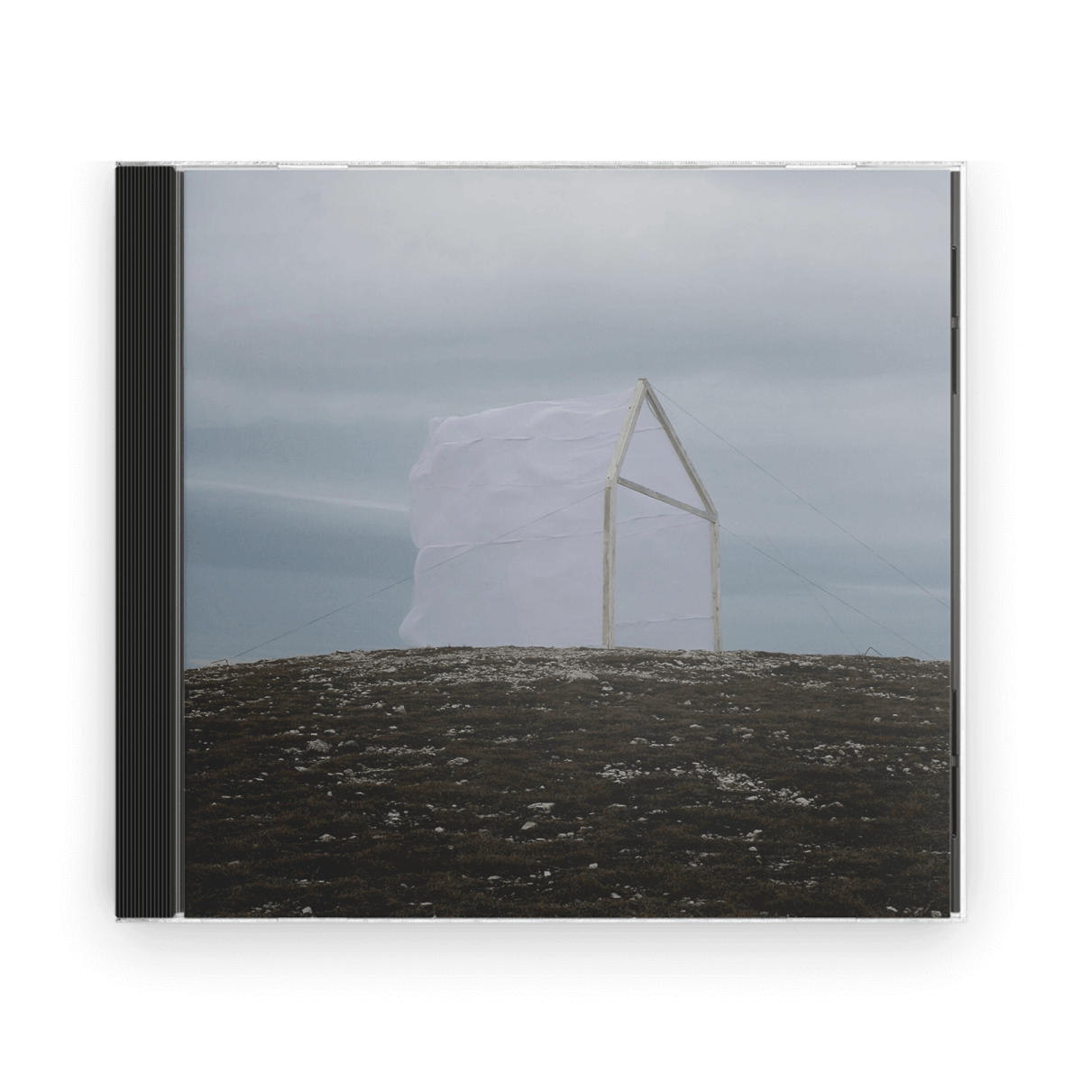 For Those I Love : Carving The Stone (CD) - Claddagh Records