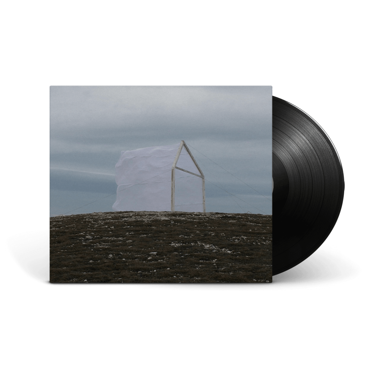 For Those I Love : Carving The Stone (LP) - Claddagh Records