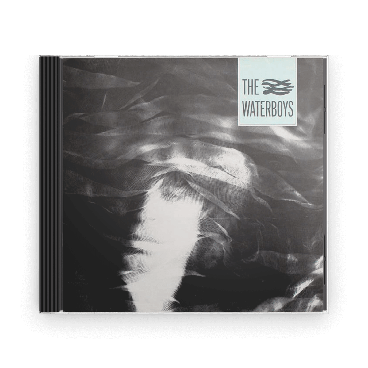 The Waterboys : The Waterboys (CD) - Claddagh Records
