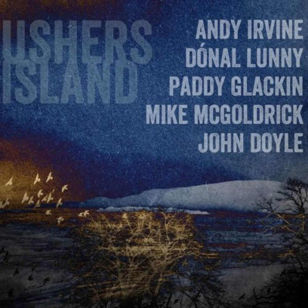 Andy Irvine, Donal Lunny, Paddy Glackin, Mike McGoldrick, John Doyle : Ushers Island (CD)