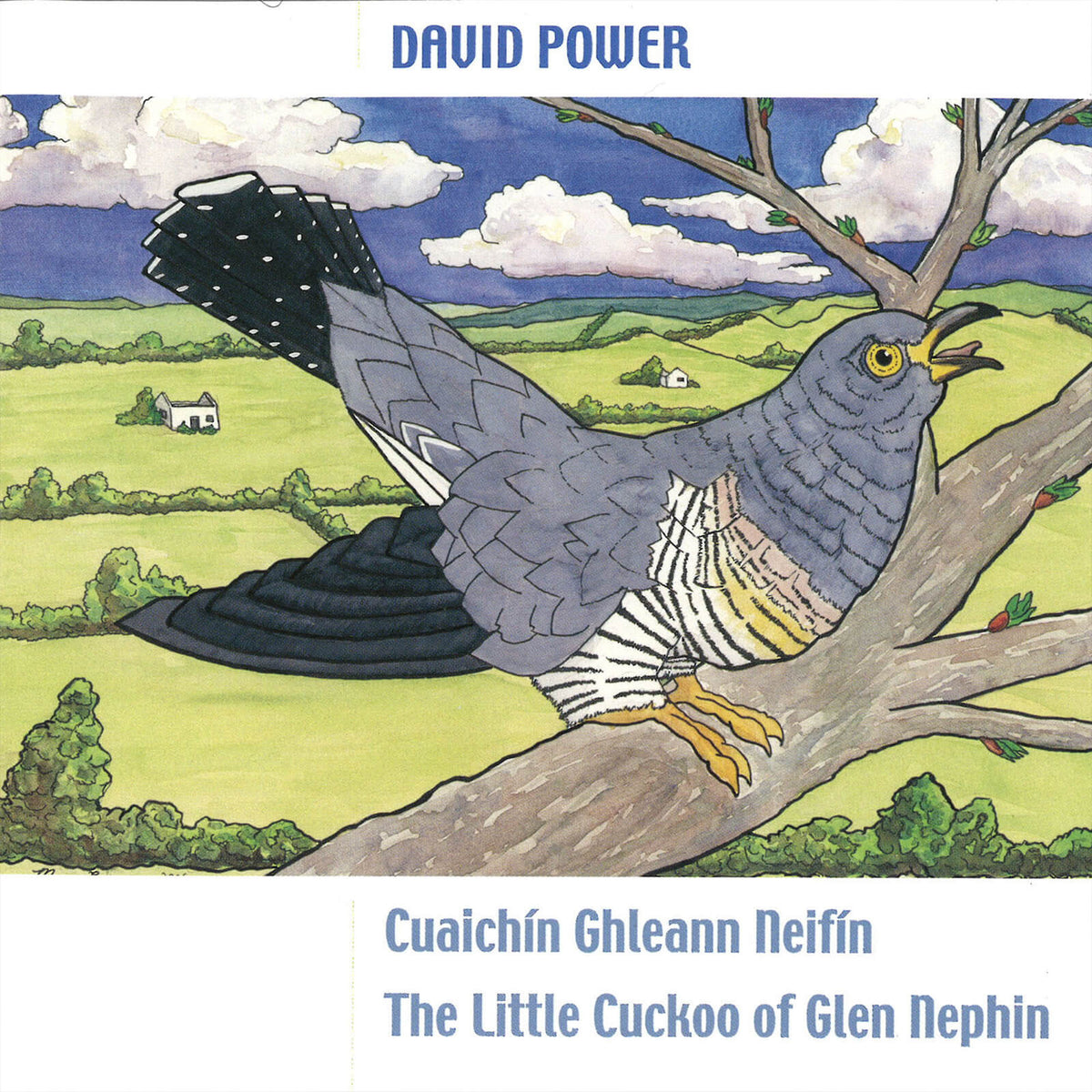 David Power : Cuaichín Ghleann Neifin (The Little Cuckoo Of Glen Nephin)