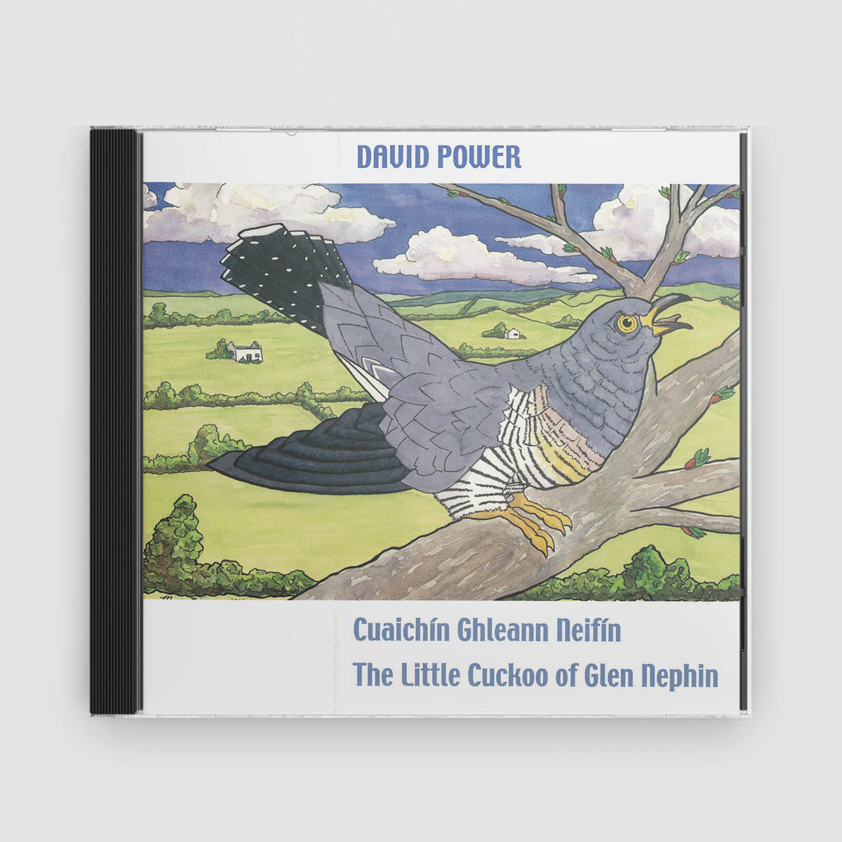 David Power : Cuaichín Ghleann Neifin (The Little Cuckoo Of Glen Nephin)