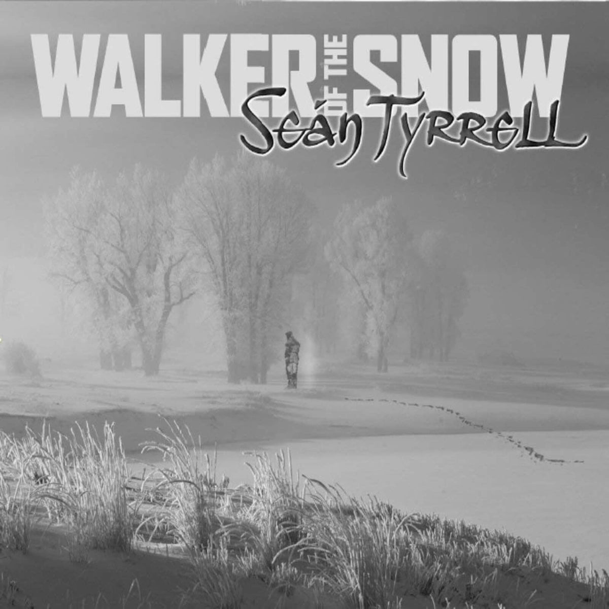 Seán Tyrrell : Walker of the Show