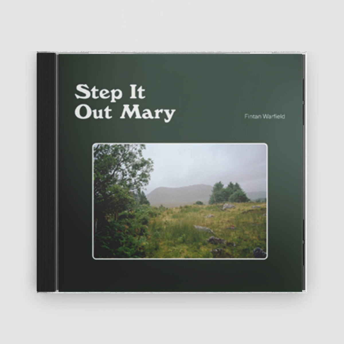 Fintan Warfield : Step It Out Mary