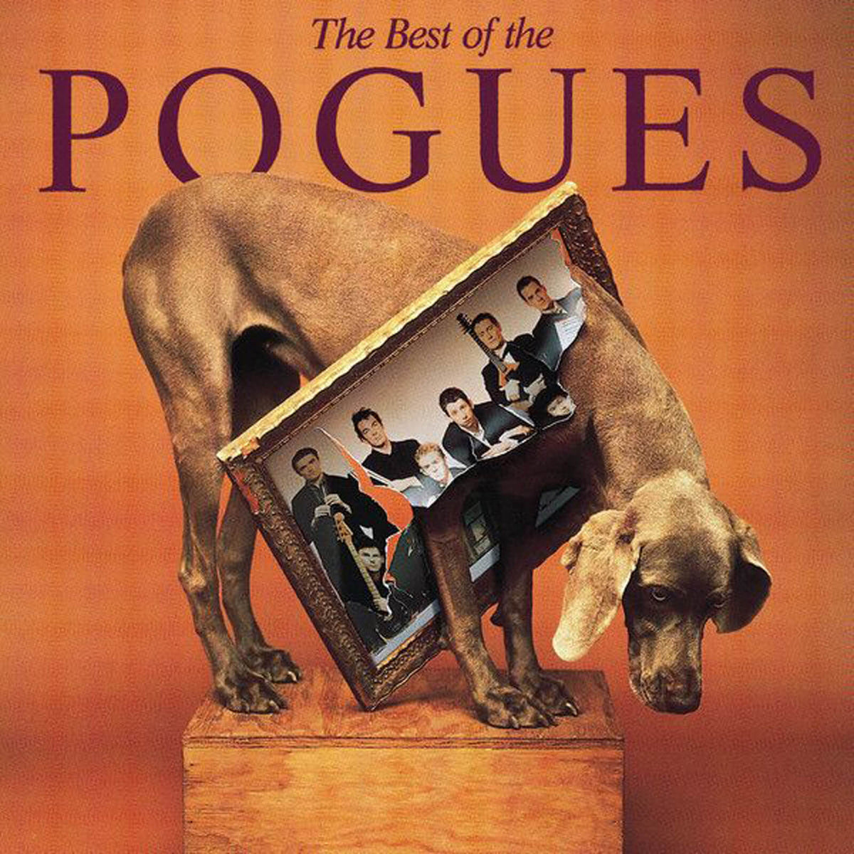 The Pogues : The Best of The Pogues