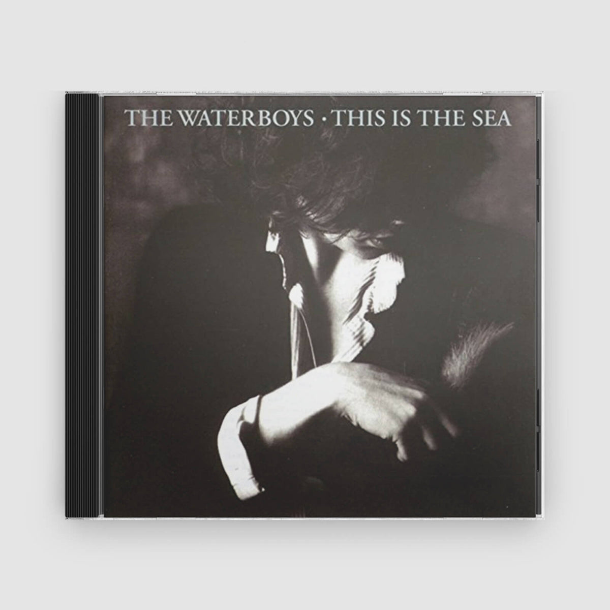 The Waterboys : This Is The Sea