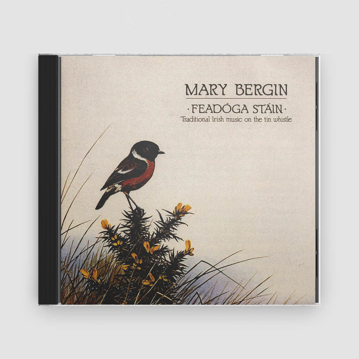 MARY BERGIN : FEADOGA STAIN