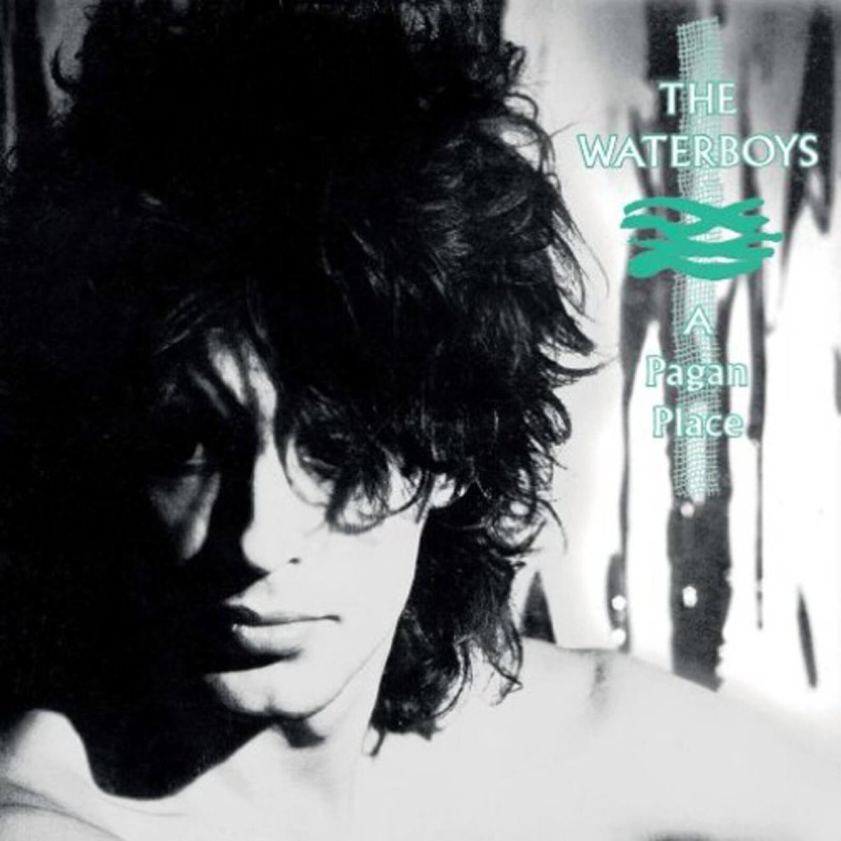 The Waterboys : A Pagan Place - Claddagh Records