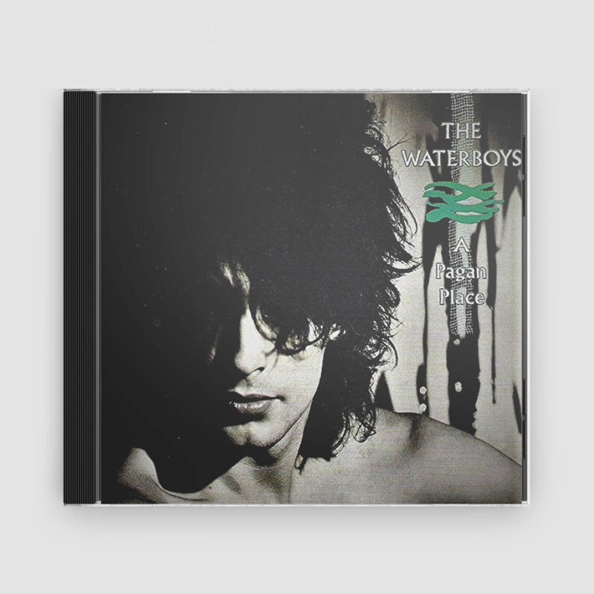 The Waterboys : A Pagan Place - Claddagh Records